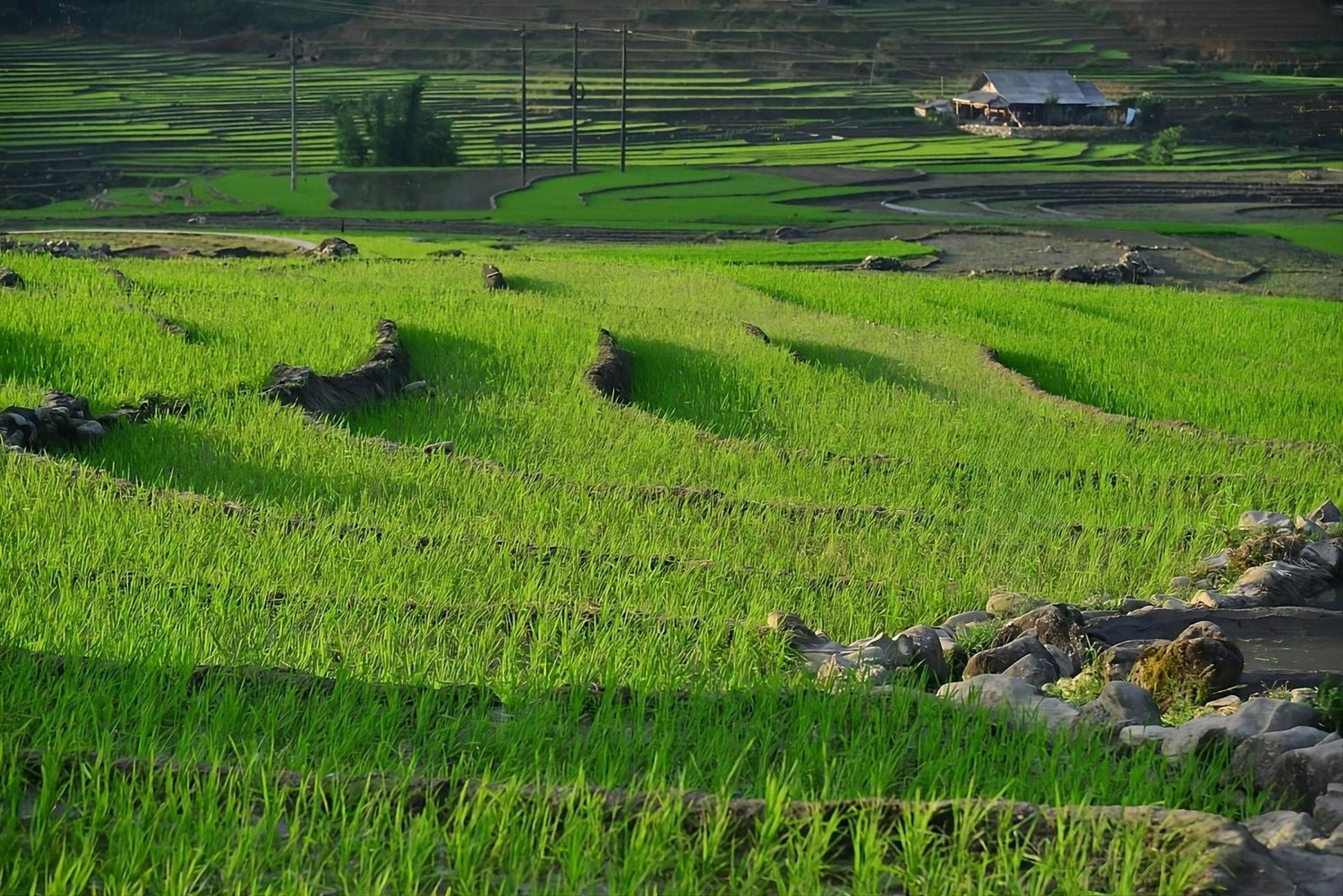 Sapa Mountain Resort Affiliated By Melia Exterior foto